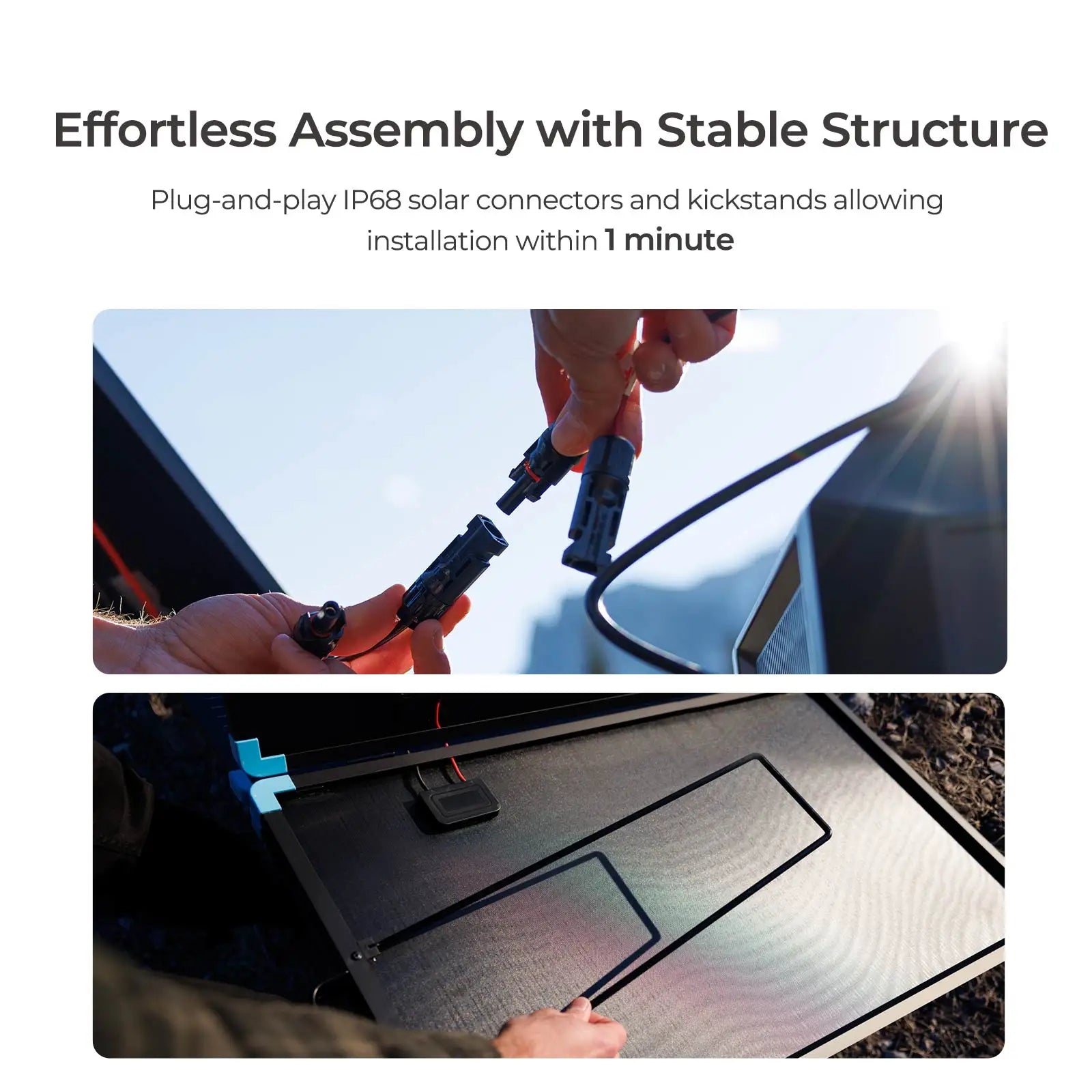 Renogy 220W Foldable Solar Panel Suitcase with 20A Controller, Portable 23% High-Efficiency, for RV Camping Power Station