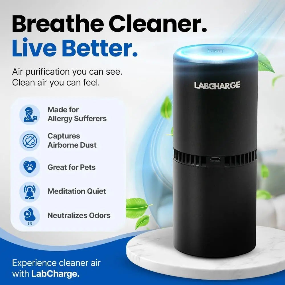 Compact Silent HEPA Air Purifier for Home - 250 Sq Ft Coverage, 3-in-1 Cleaner, Black Design - Pack of 4
