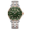 2025 New PAGANI DESIGN Men's Watches Gold Luxury Automatic Watch For Men Mechanical Wristwatches AR Sapphire Waterproof Luminous
